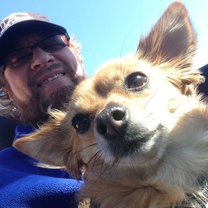 Team Page: Dogs Rule